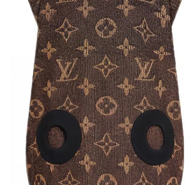 LOUIS VUITTON FW21 Monogram