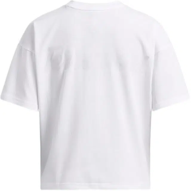 Under Armour Collegiate Heavyweight T