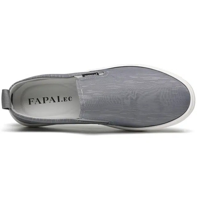 FAPAI