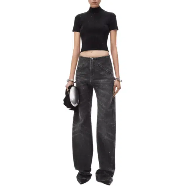 alexander wang FW24 T