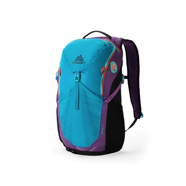 GREGORY NANO 24L