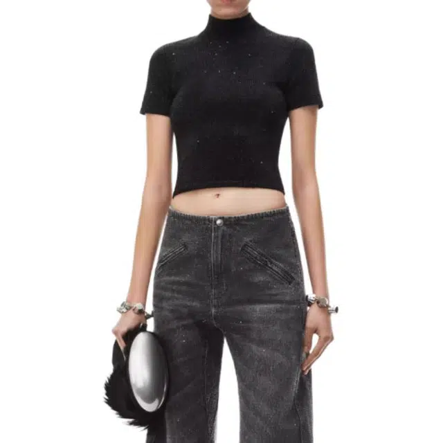 alexander wang FW24 T