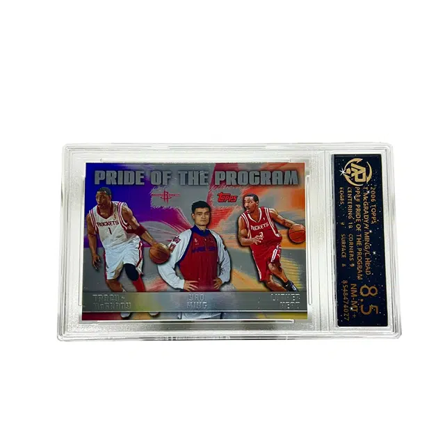 Topps 20063