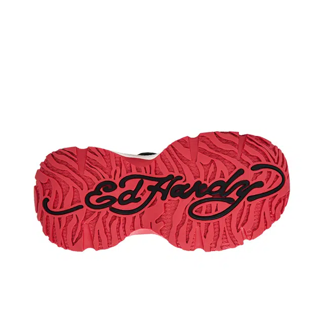 Ed Hardy ACC
