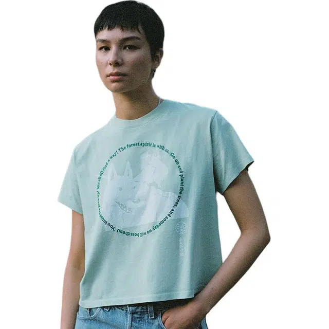 levis T