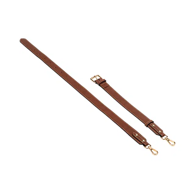 FANJI longchamp