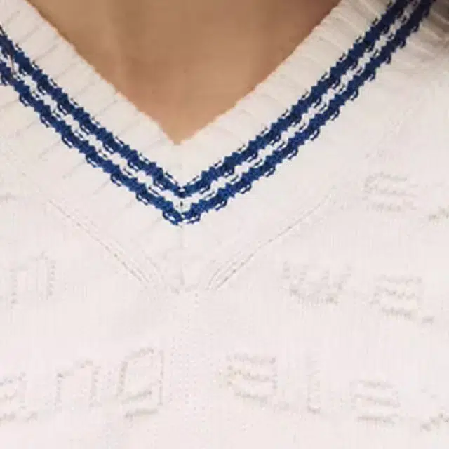 alexander wang V