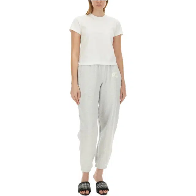 alexander wang T