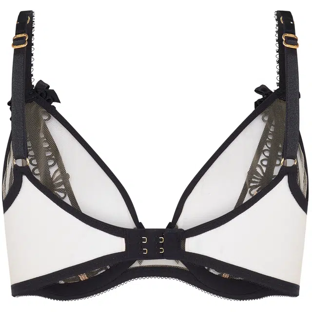 Agent Provocateur