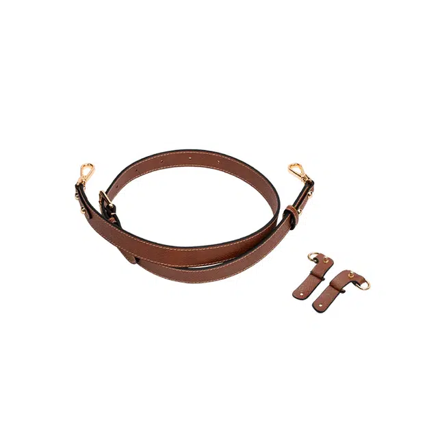 FANJI longchamp
