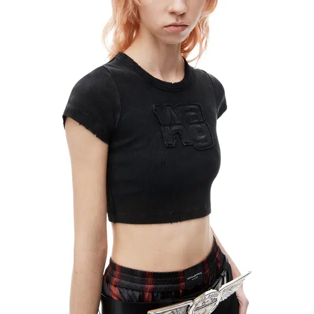 alexander wang FW24 T