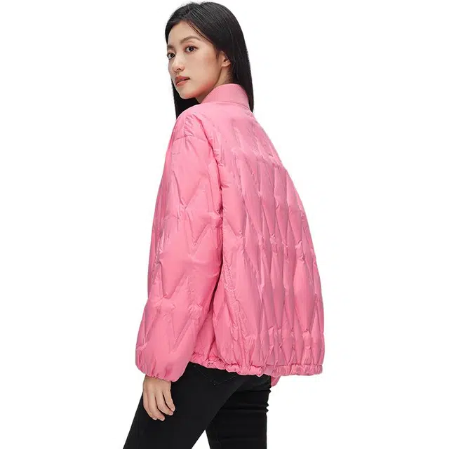 鸭鸭 百搭韩版修身休闲短款时尚舒适长袖羽绒服 女款