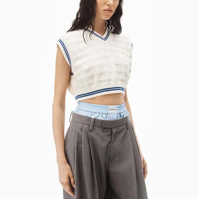 alexander wang V