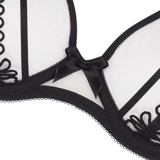 Agent Provocateur