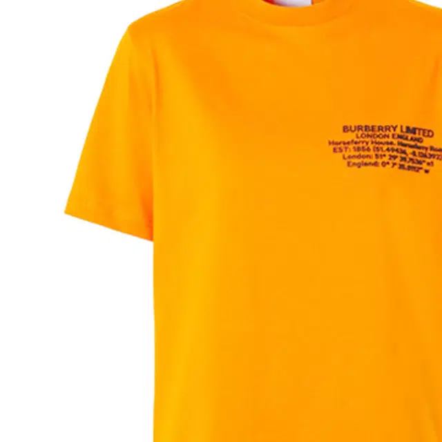 Burberry T