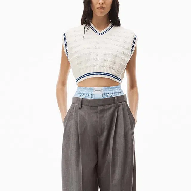 alexander wang V