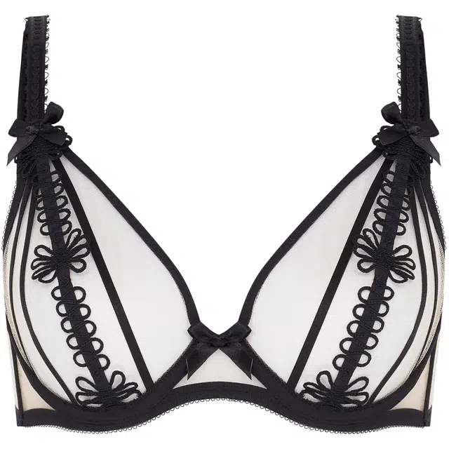 Agent Provocateur