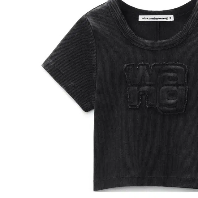 alexander wang FW24 T