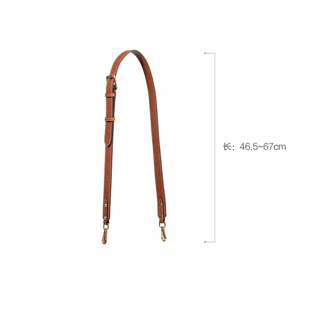 FANJI longchamp