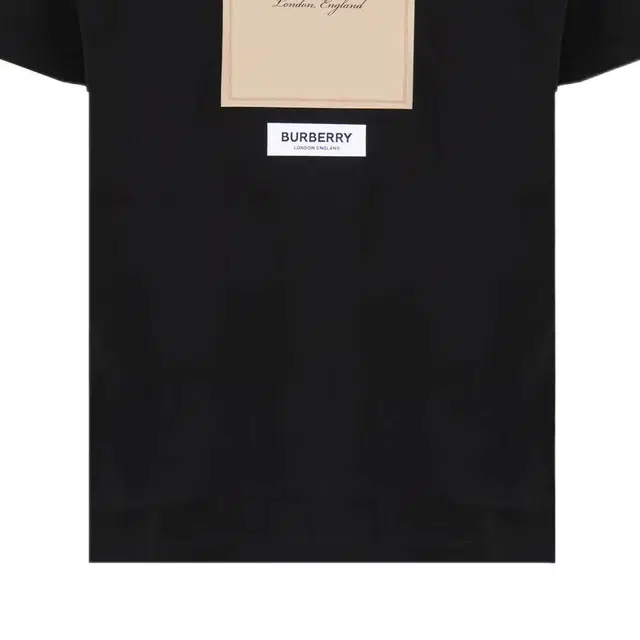 Burberry FW22 T
