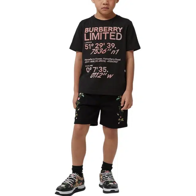 Burberry LogoT
