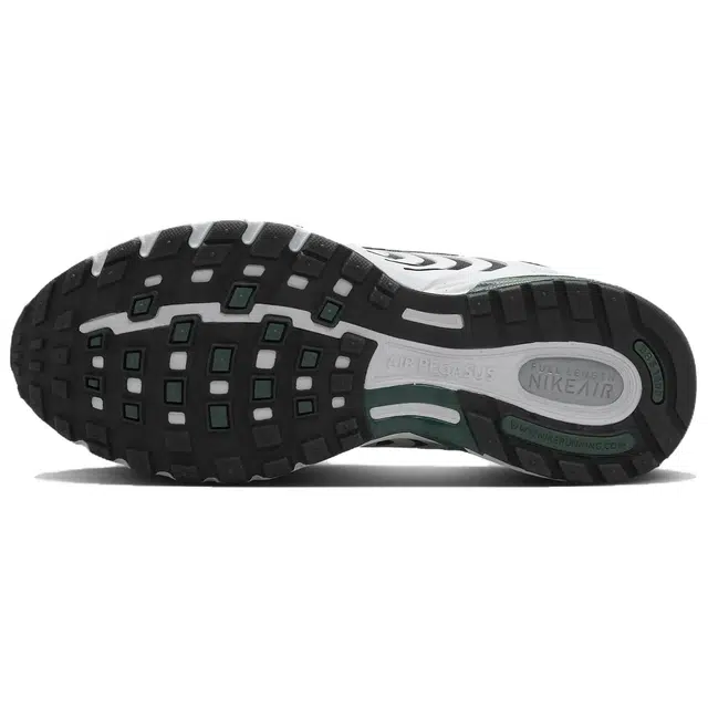 Nike Air Pegasus 2K5