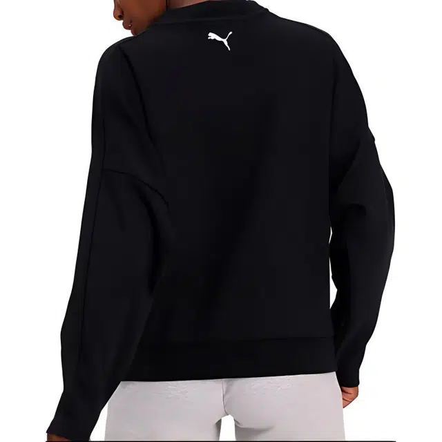 Puma Evide logo