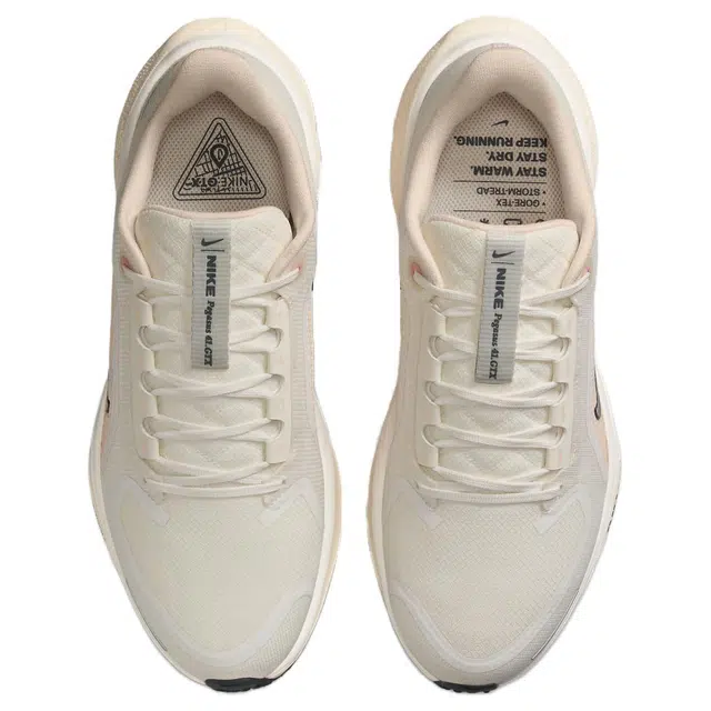 Nike Pegasus 41