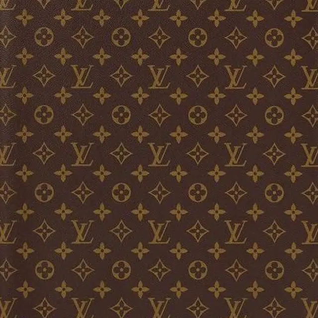 LOUIS VUITTON Horizon 55