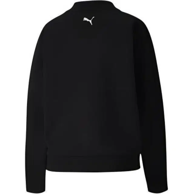 Puma Evide logo