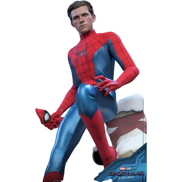 Hot Toys 29cm