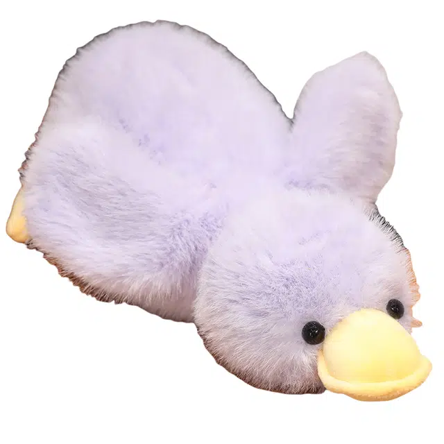 30cm50cm65cm100cm