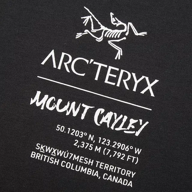 Arcteryx Captive LegendT