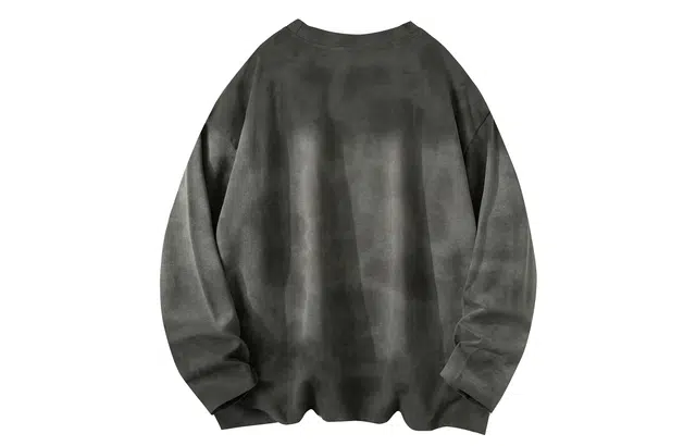 PAEFA T
