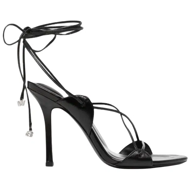 alexander wang 10.5cm