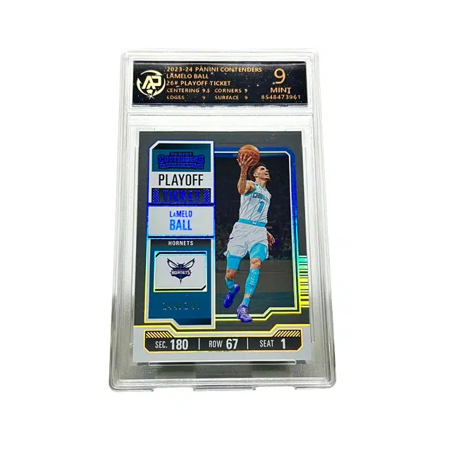 PANINI 244249