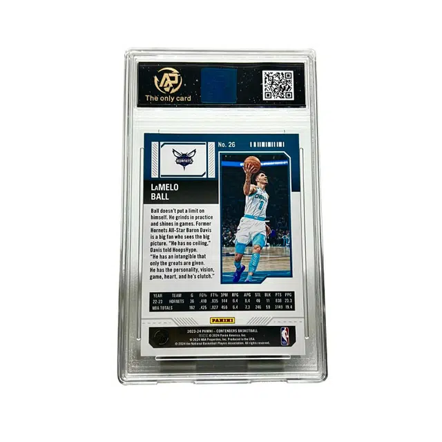 PANINI 244249