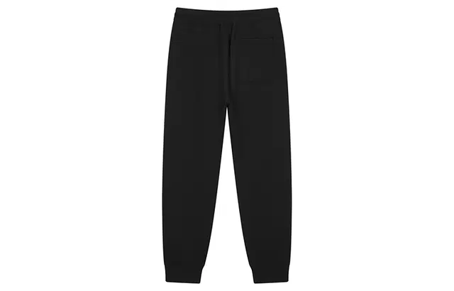 Champion FW24 BASIC C-Logo