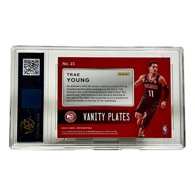 PANINI Hoops