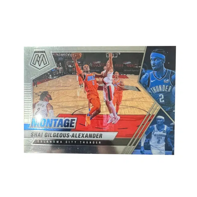 PANINI SGA
