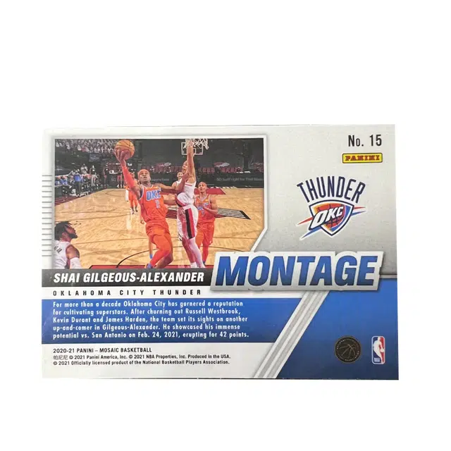 PANINI SGA