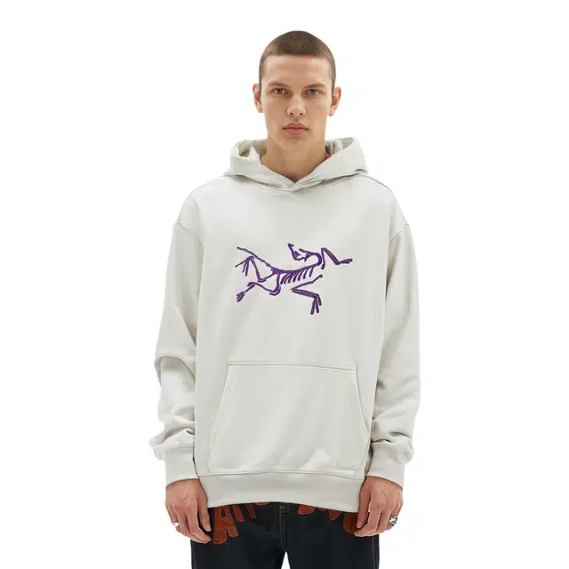 Arcteryx x PALACE Logo