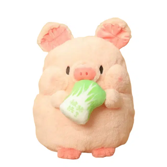 abay 25cm