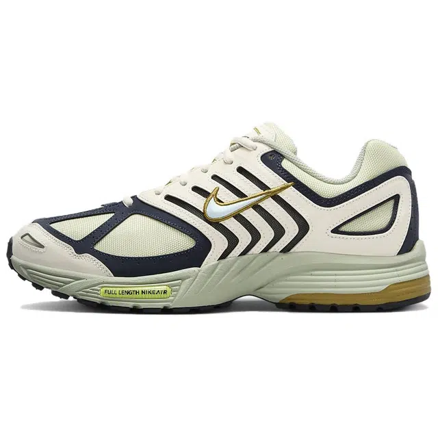 Nike Air Pegasus 2005