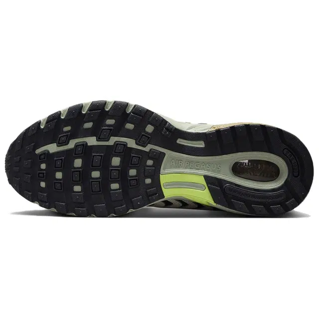 Nike Air Pegasus 2005
