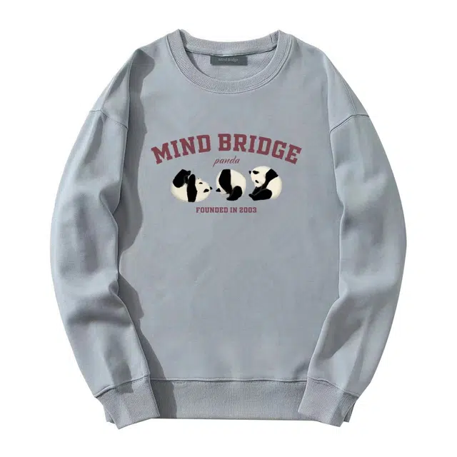 MindBridge
