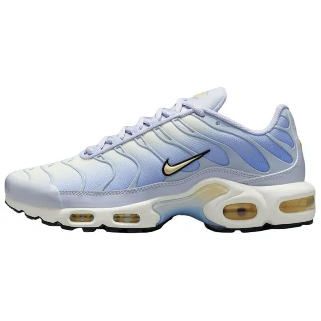 Nike Air Max Plus Daybreak