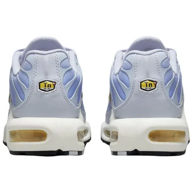 Nike Air Max Plus Daybreak