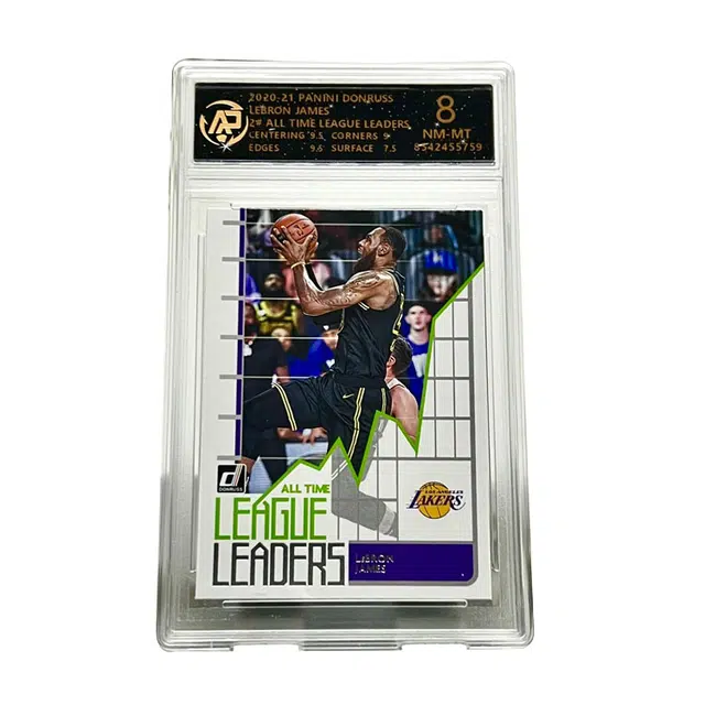 PANINI 2 10