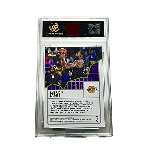 PANINI 2 10